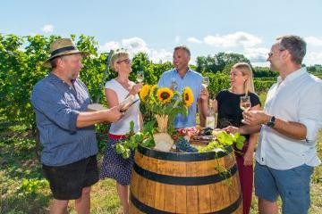 In den Weinbergen genießen In den Weinbergen genießen
