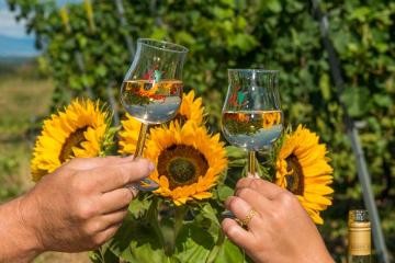 Wein vom Kaiserberg Wein vom Kaiserberg