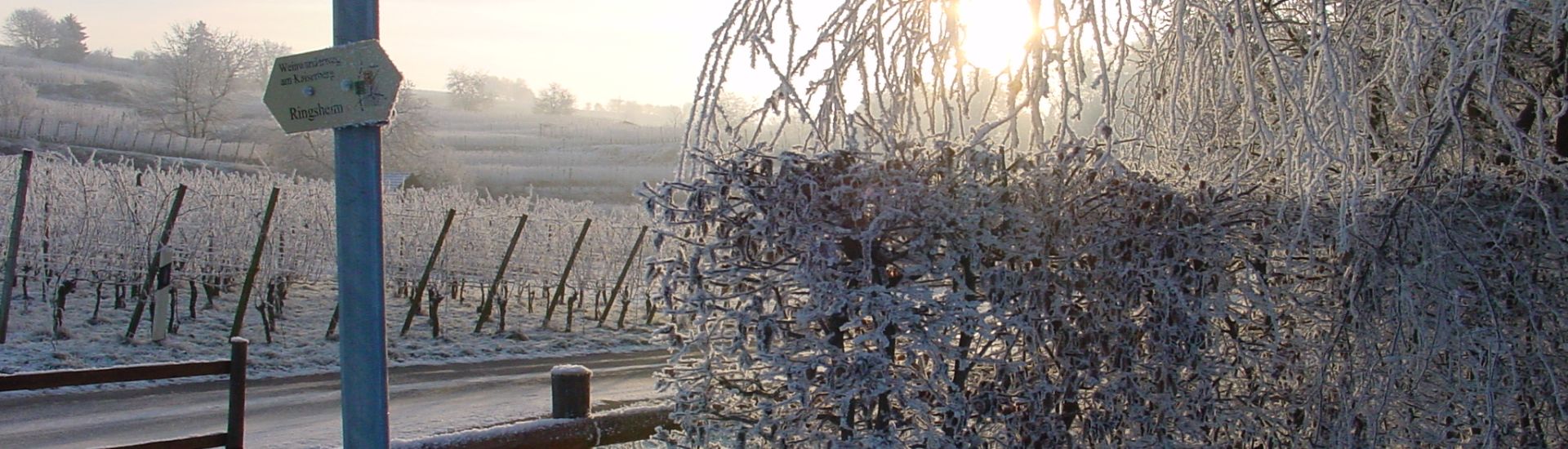 Winter am Kahlenberg