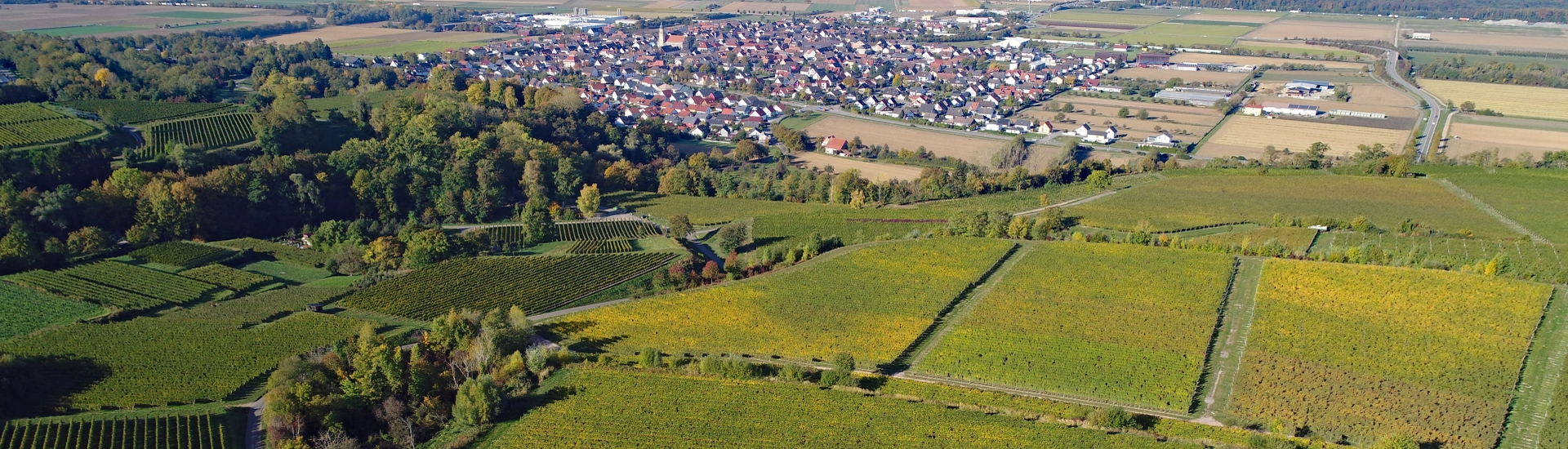Blick auf Ringsheim Blick auf Ringsheim